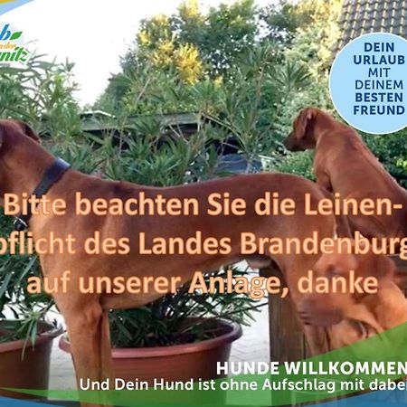 Willa Jagd-Angler-Holzhaus-Im-Wald-Am-See Kyritz Zewnętrze zdjęcie
