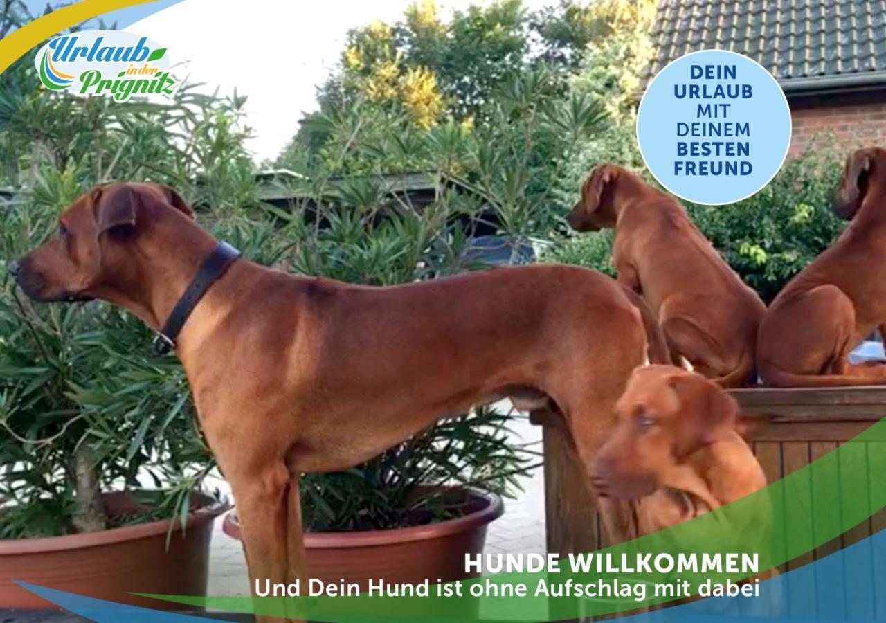 Willa Jagd-Angler-Holzhaus-Im-Wald-Am-See Kyritz Zewnętrze zdjęcie